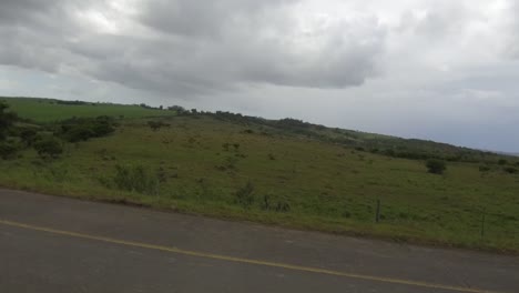 driving through a serene countryside on an overcast day