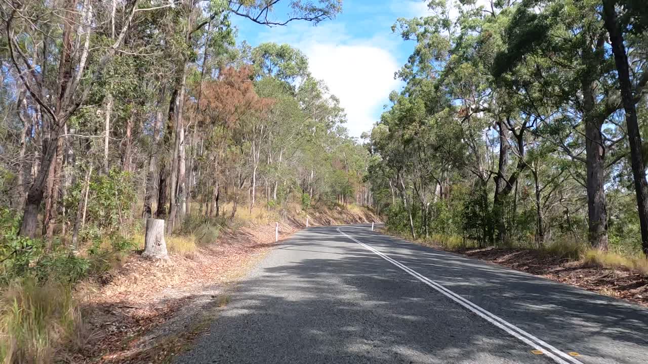 time-lapse de un viaje panorámico a través de un bosque
