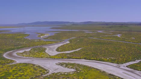 vista aérea de pájaro de la llanura de carrizo y el lago soda en california durante la superflor de la flor silvestre