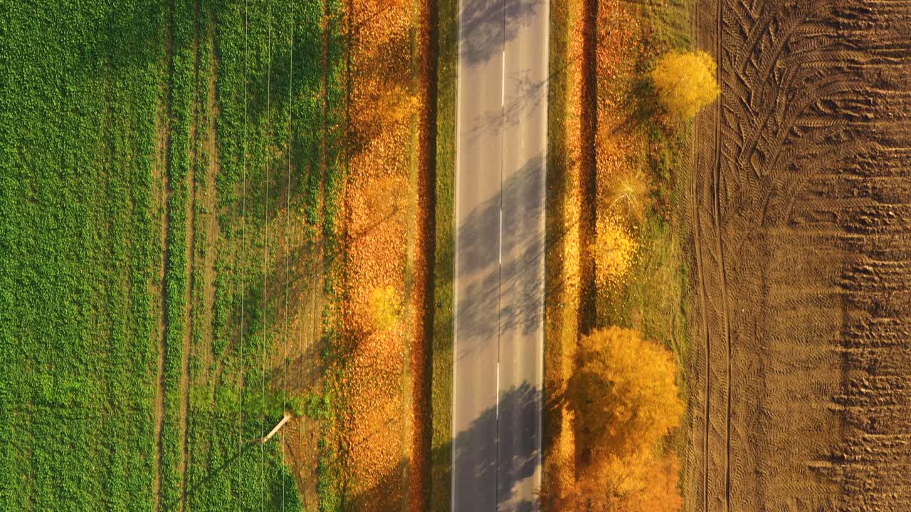 해가 지는 아름다운 가을 숲의 도로의 공중 풍경