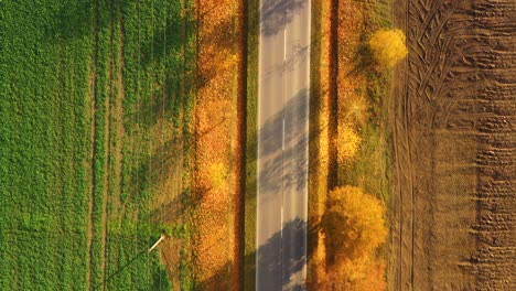 Vista-Aérea-De-La-Carretera-En-El-Hermoso-Bosque-De-Otoño-Al-Atardecer