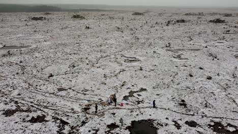 rotating aerial drone view of a open bog landscape with people walking with snowshoes in the foreground