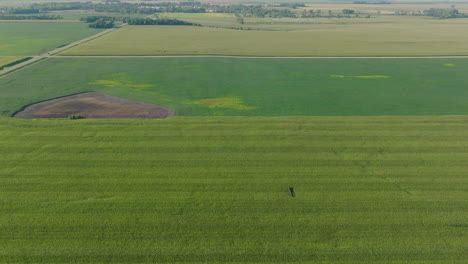 Aerial-Panorama-of-Ready-to-Harvest,-Fully-Grown-Agricultural-Farm-Fields