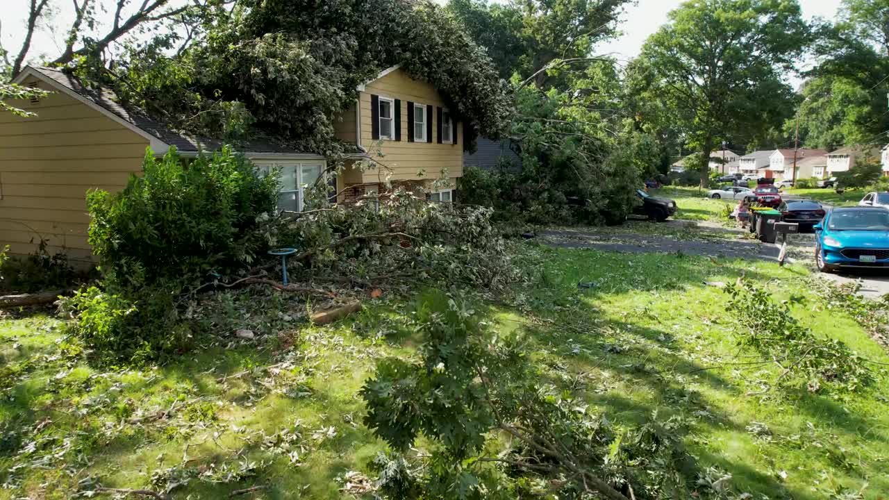 폭풍 토네이도 나무 손상 느린 드론 영화 상승 플라이오버