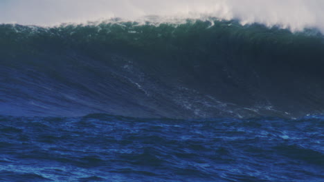 large ocean wave forming in slow motion, lit by soft golden light just before crashing down