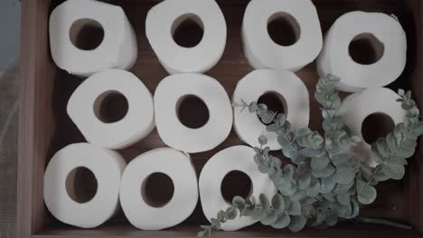 organized toilet paper storage with eucalyptus