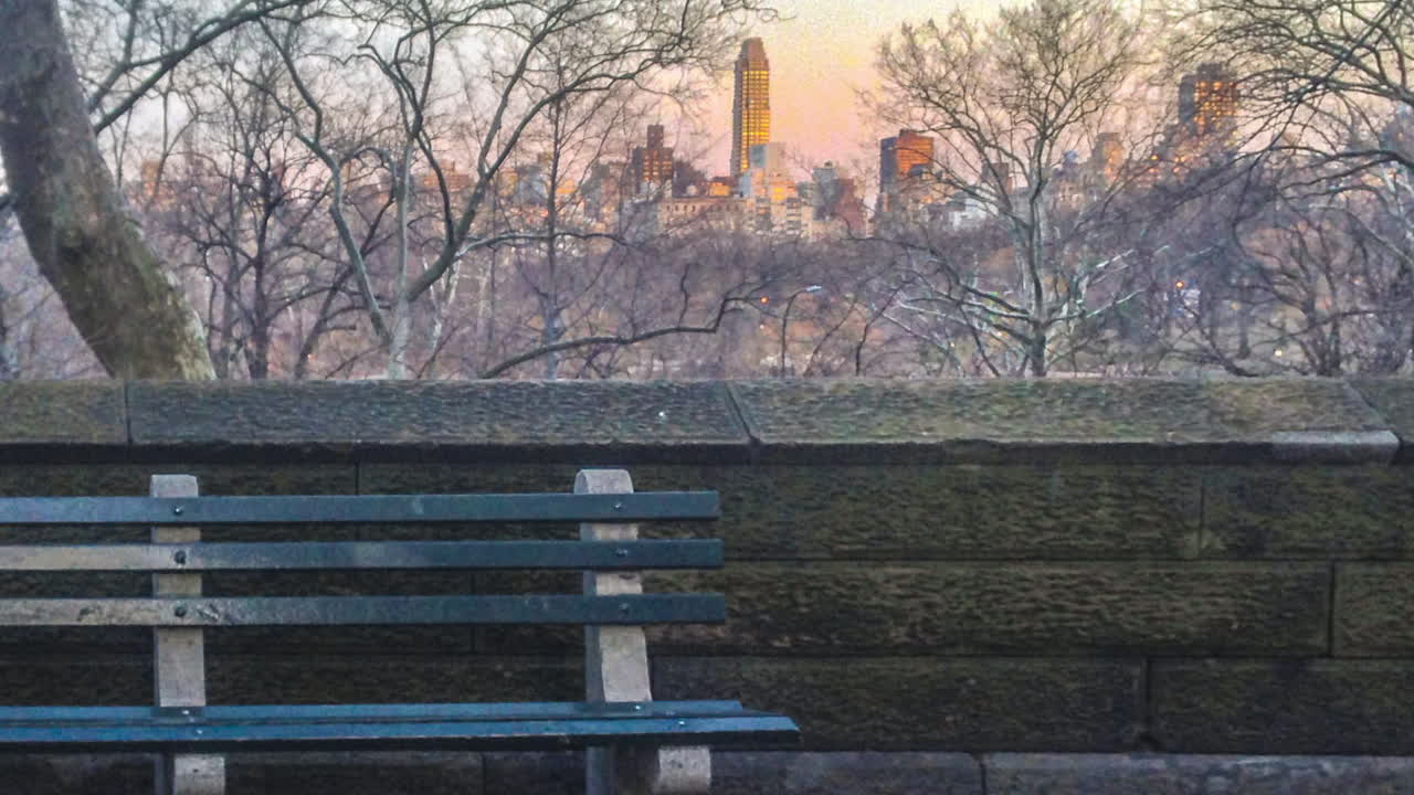 중앙 공원의 벽돌 벽 앞에 있는 빈 뉴욕 벤치