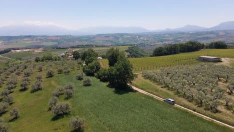 Wide-angle-drone-shot-tracking-a-car-driving-on-a-dirt-road-surrounded-by-olive-trees-and-a-mountain-range-in-the-background-in-the-countryside-of-Italy