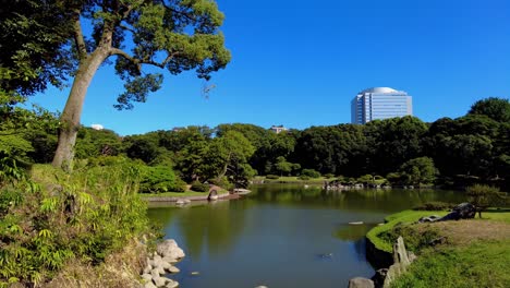 the beautiful park in tokyo