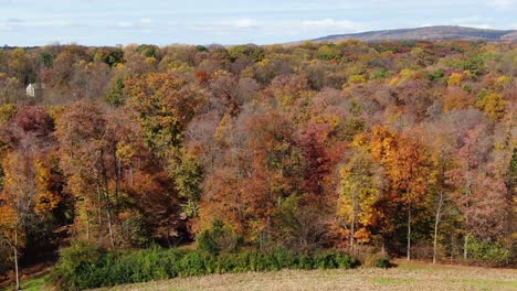 Aerial-of-colorful-fall-foliage-forest