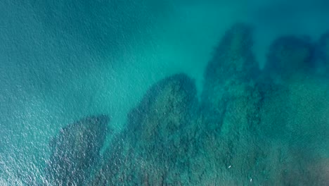 Tropical-coral-reef-in-Kauai-island,-Hawaii,-USA