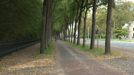 4k - bicycle path with trees in baarn, the netherlands