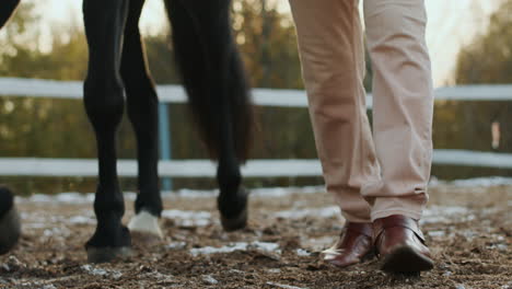 man holding the reins outdoors