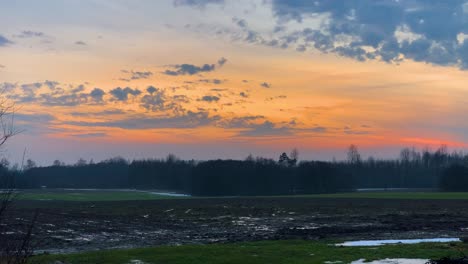 Vibrant-color-golden-hour-sunset-over-countryside-agricultural-field-and-forest