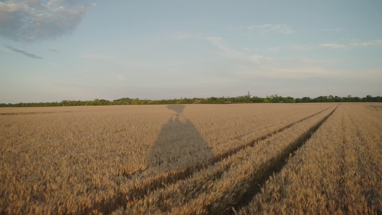 globo de aire caliente volando cerca del suelo en la hora dorada del atardecer