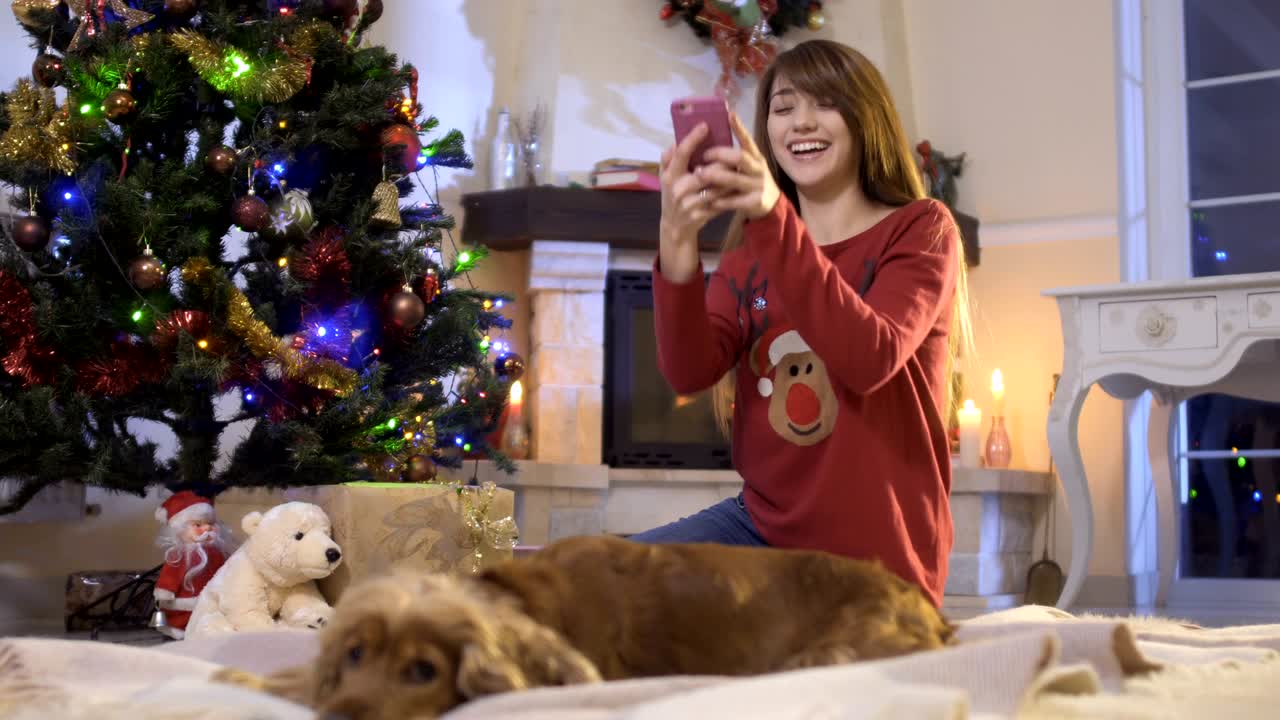 아름다운 소녀가 크리스마스 트리 근처의 개 사진을 찍습니다.
