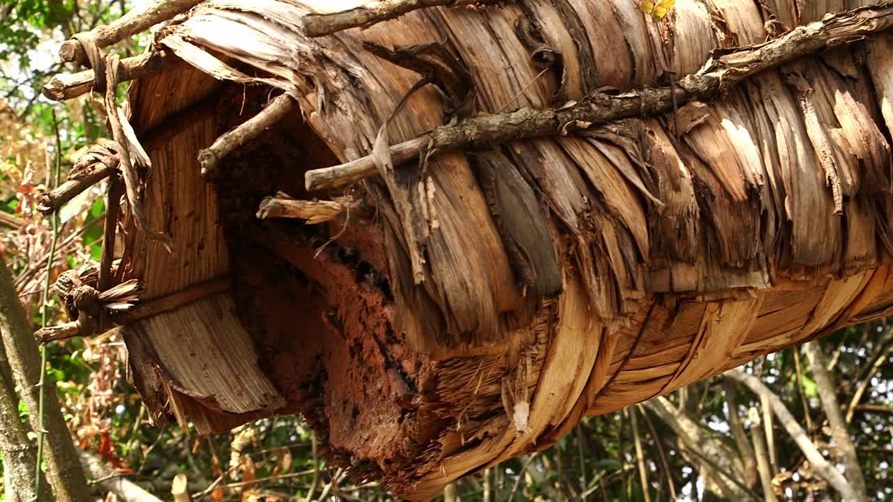 아프리카의 전통적인 벌집. 왼쪽 판