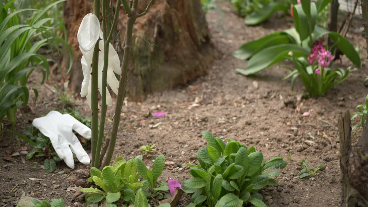 использованные средства медицинской защиты, выброшенные в природу, коронавирус, загрязняют окружающую среду и создают проблемы для всего человечества при пандемическом кризисе
