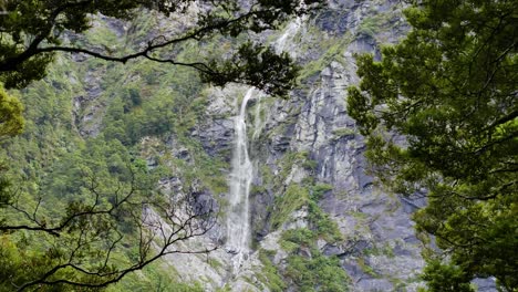 Wide-shot-of-massive-cascade-waterfall-flowing-down-rocky-mountains-in-Jungle---Rob-Roy-Glacier-Track-in-New-Zealand