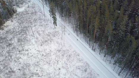 Leute,-Die-Während-Der-Wintersaison-In-Smiltene,-Lettland,-Auf-Dem-Verschneiten-Pfad-Im-Wald-Skifahren