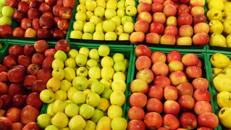 variedad de manzanas en la tienda de comestibles