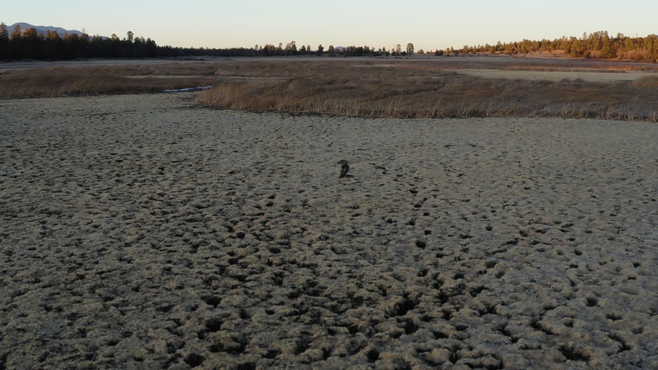 미국 애리조나 주 코코니노 국립공원의 더운 여름 가뭄 후 건조한 풍경