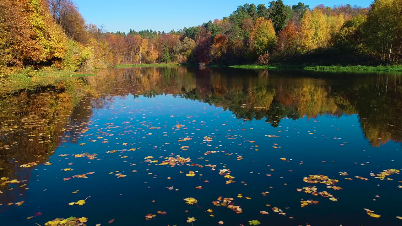 호수 에 있는 다채로운 가을 의 숲 나무