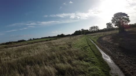 FPV-drone-flying-low-across-countryside-agricultural-farmland-grass-meadow-around-trees