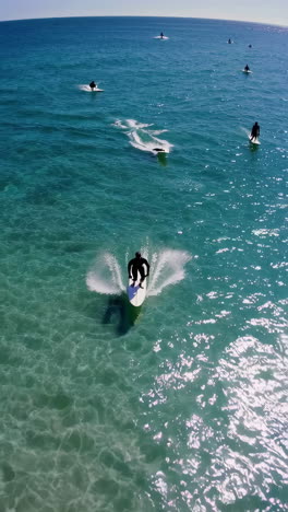 surfers on a clear blue ocean