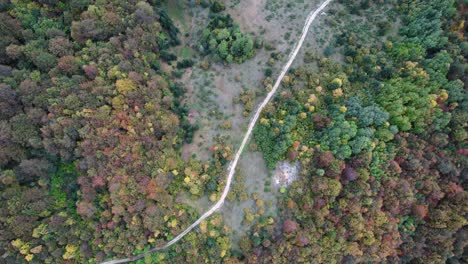 Antena-De-Arriba-Hacia-Abajo-De-Hayas-Durante-El-Otoño-En-Las-Montañas-Bosnias