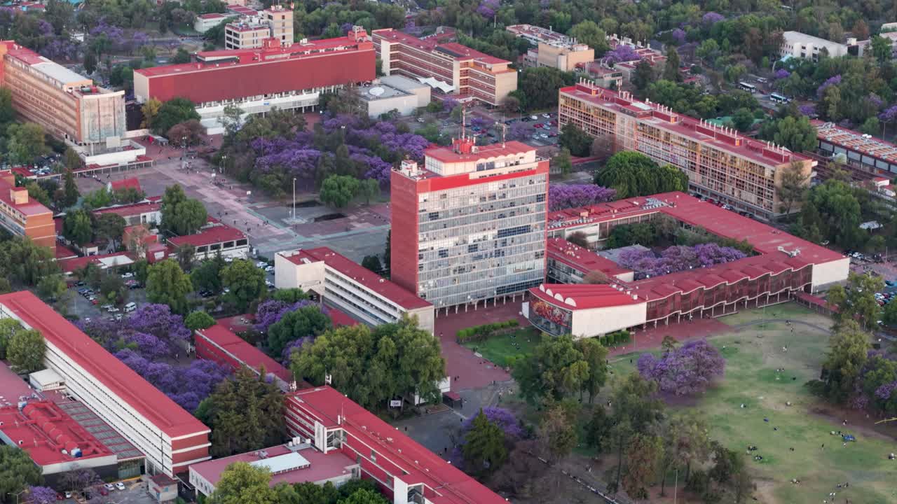 University campus buildings with jacarandas, drone view