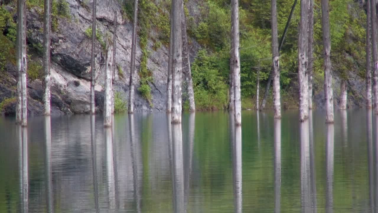 자작 나무 호수 또는 수중 숲으로도 알려진 카자흐스탄의 kaindy 호수
