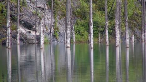 lago kaindy en kazajstán conocido también como lago de abedules o bosque submarino