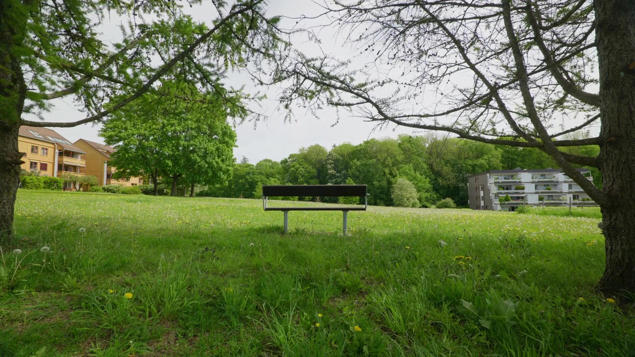 A solitary bench sits quietly beneath trees, overlooking a green field with residential buildings in the background. Ideal for themes of solitude or nature in urban settings.