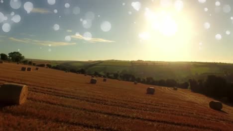 Bokeh-Lichter-In-Einem-Feld