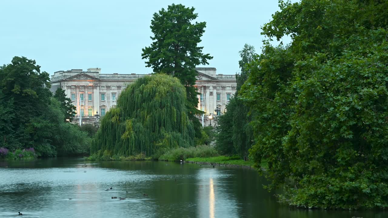 st의 호숫가에 무성한 나무