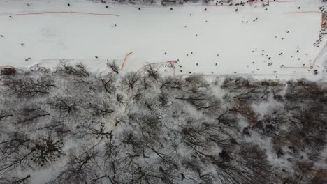 Drone-view-at-slope-on-ski-resort.-Forest-and-ski-slope-from-air.-Winter-landscape-from-a-drone.-Snowy-landscape-on-ski-resort.-Aerial-photography