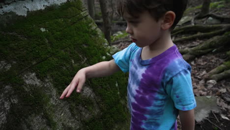 niño despegando y tirando musgo de la corteza de un árbol