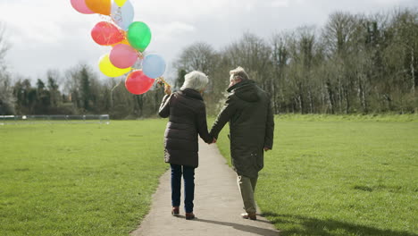 vista trasera de una pareja mayor con globos disfrutando del otoño o el invierno caminando juntos por el parque