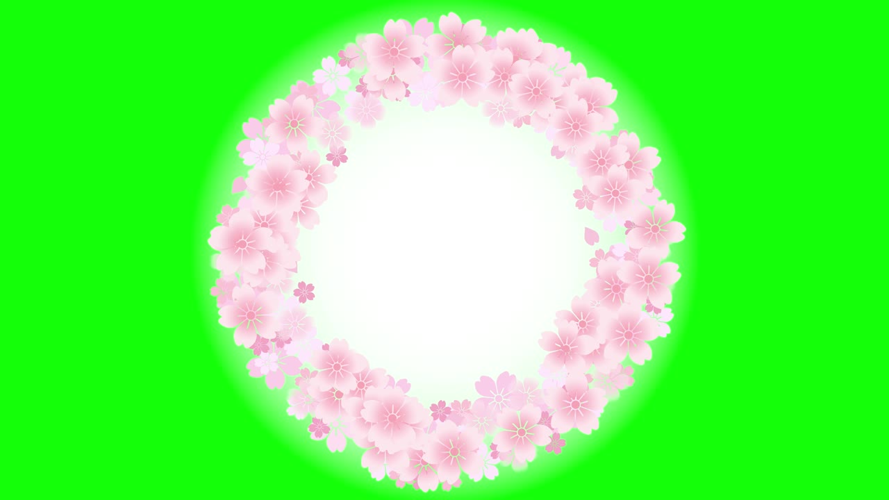 체리 꽃 회전 루핑 아이콘 애니메이션