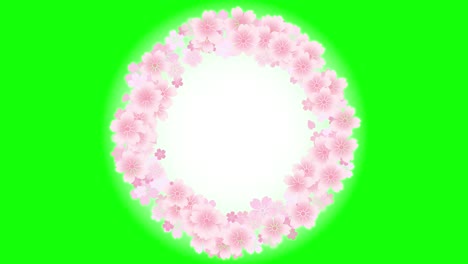 cherry blossom flowers rotation looping icon animation