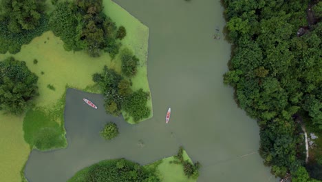 Ninh-Binh-Bird-Park-with-Boats-Full-of-Tourists,-Drone-Top-Down-View