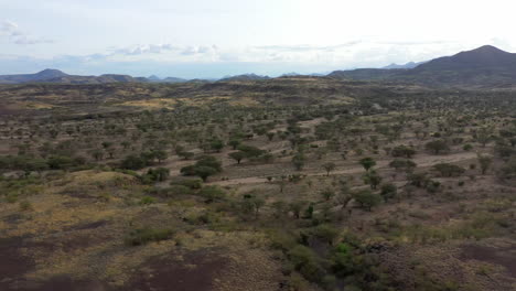 desert kenya, africa landscape of a from the air and above during an overcast day of lots of trees