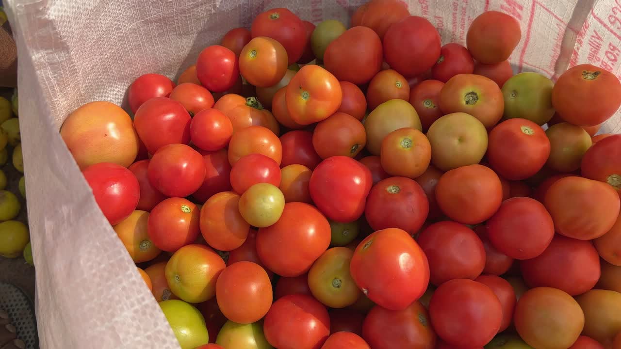 a bag full of ripe red tomato