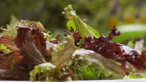 Close-Up-of-Green-Salad-Lettuce-Leaves-Falling-in-Normal-Speed-to-Slow-Motion---Healthy-Eating-Concept-Food-4K-Clip