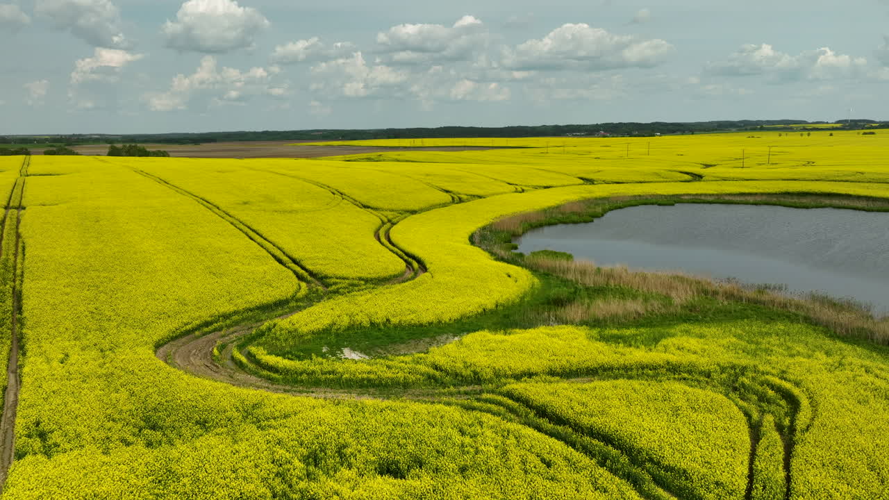 una amplia vista aérea de extensos campos de colza amarilla bajo un cielo parcialmente nublado