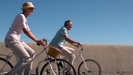 Älteres-Paar-Macht-Eine-Radtour-Auf-Dem-Pier