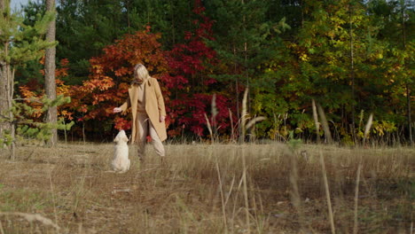 an active woman plays with a golden retriever puppy in the autumn forest. against the background of beautiful yellowed trees and evergreen pines