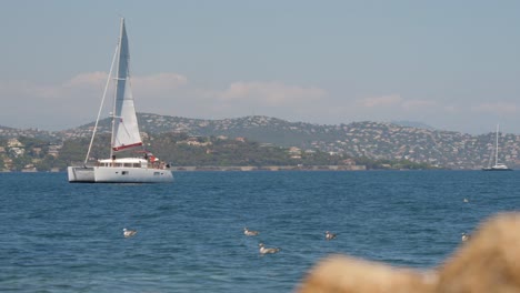 Un-Velero-En-El-Mar-Que-Avanza-Hacia-La-Izquierda,-Un-Pájaro-Que-Pasa-Por-Delante-Volando-Luego-Se-Descubren-Varios-Pájaros-En-El-Agua-De-Mar-En-Calma-Con-Olas-Pequeñas