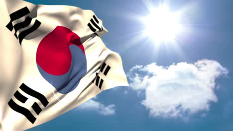대한민국 국기 흔들기